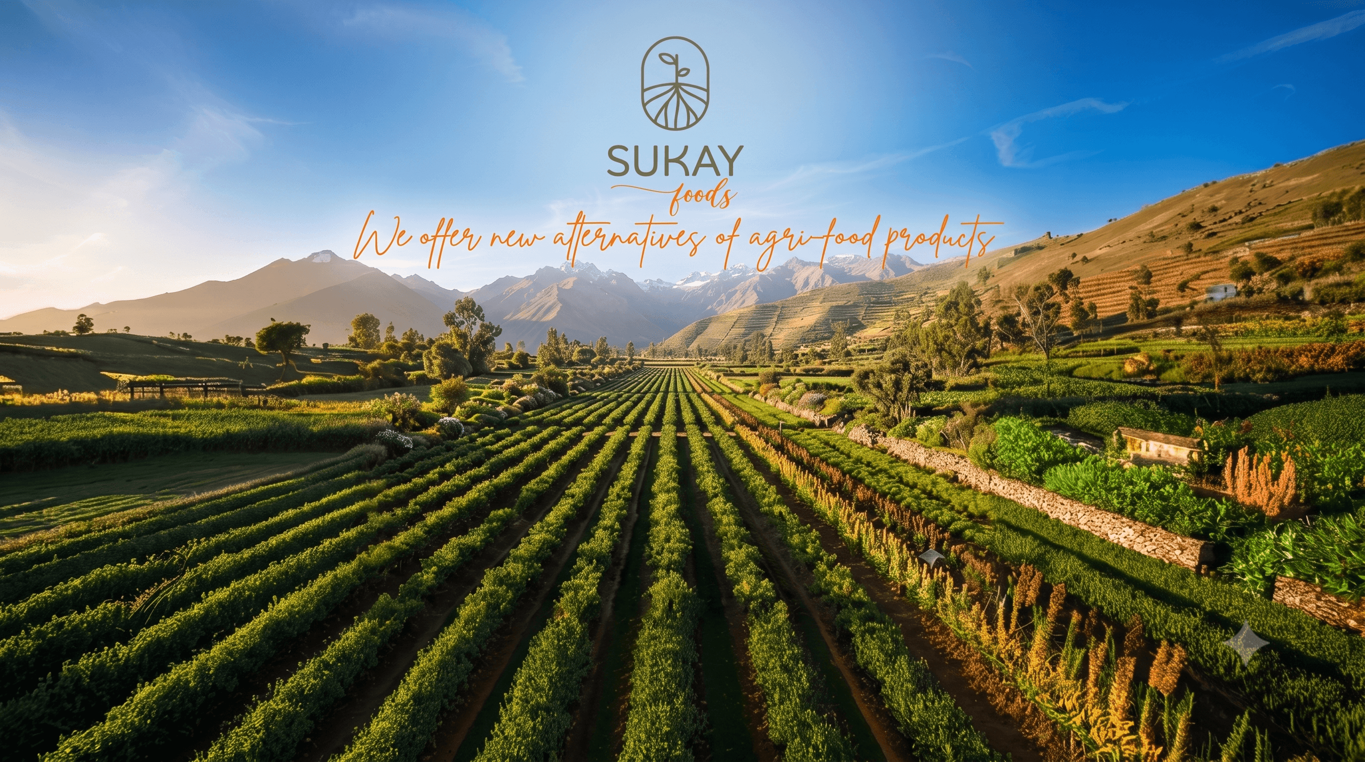 Campos agrícolas — Sukay Foods
