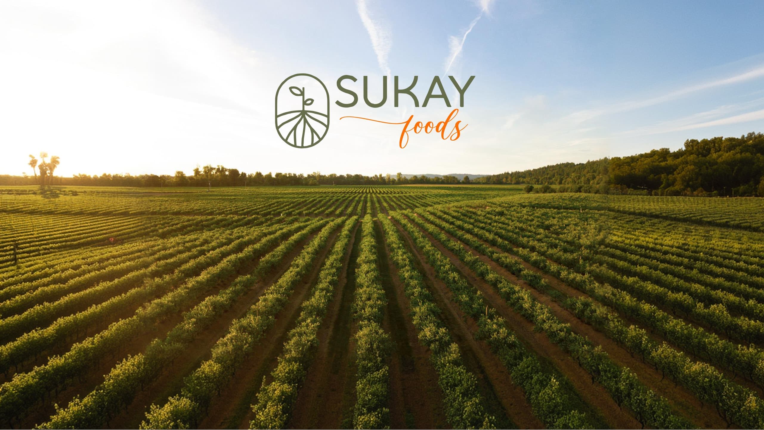 Campos agrícolas — Sukay Foods