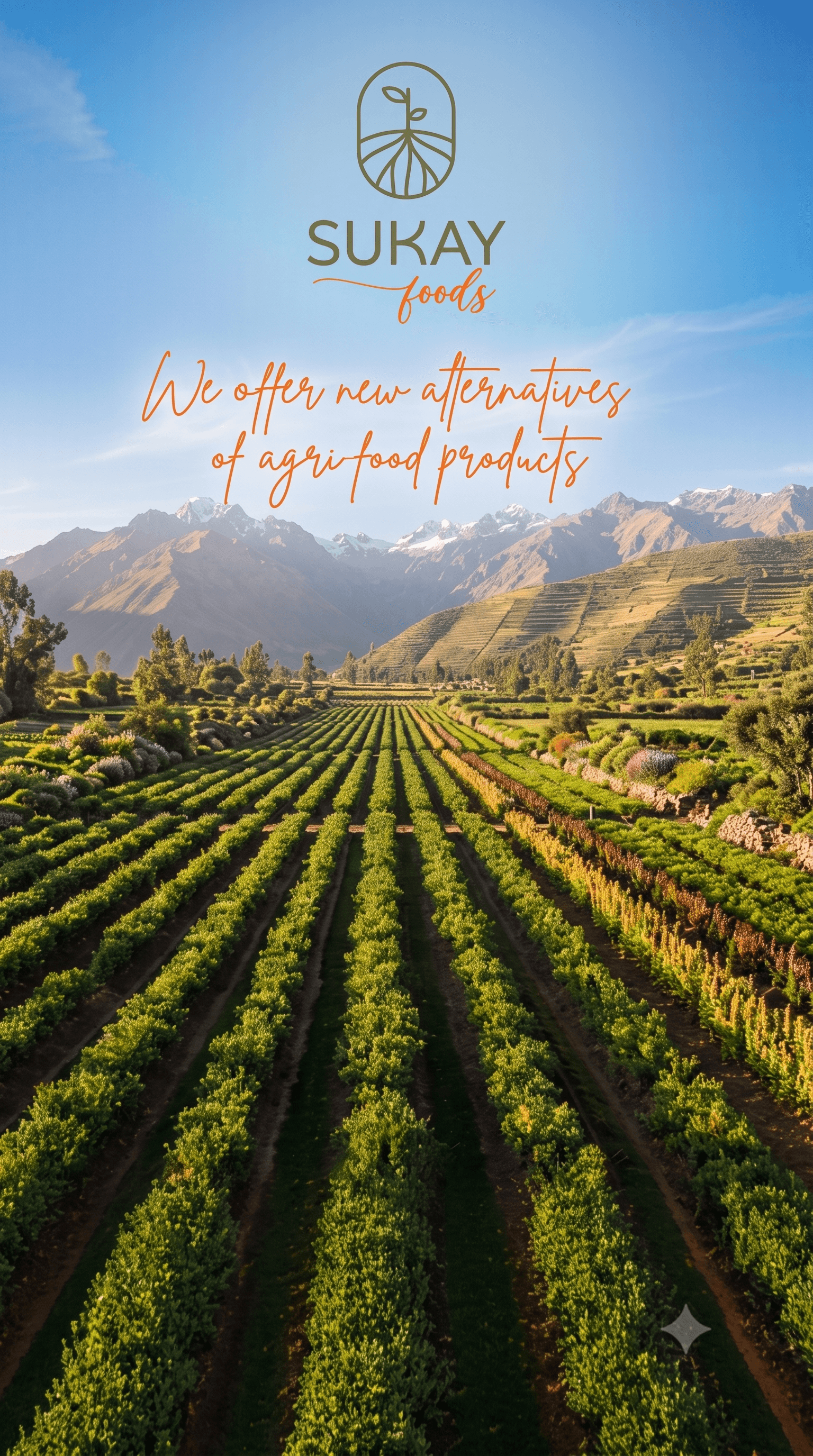 Campos agrícolas — Sukay Foods