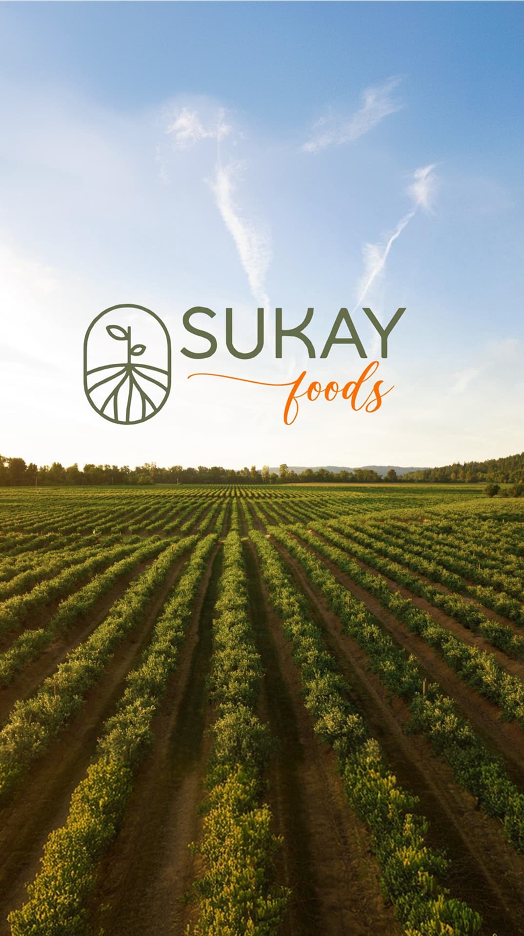 Campos agrícolas — Sukay Foods