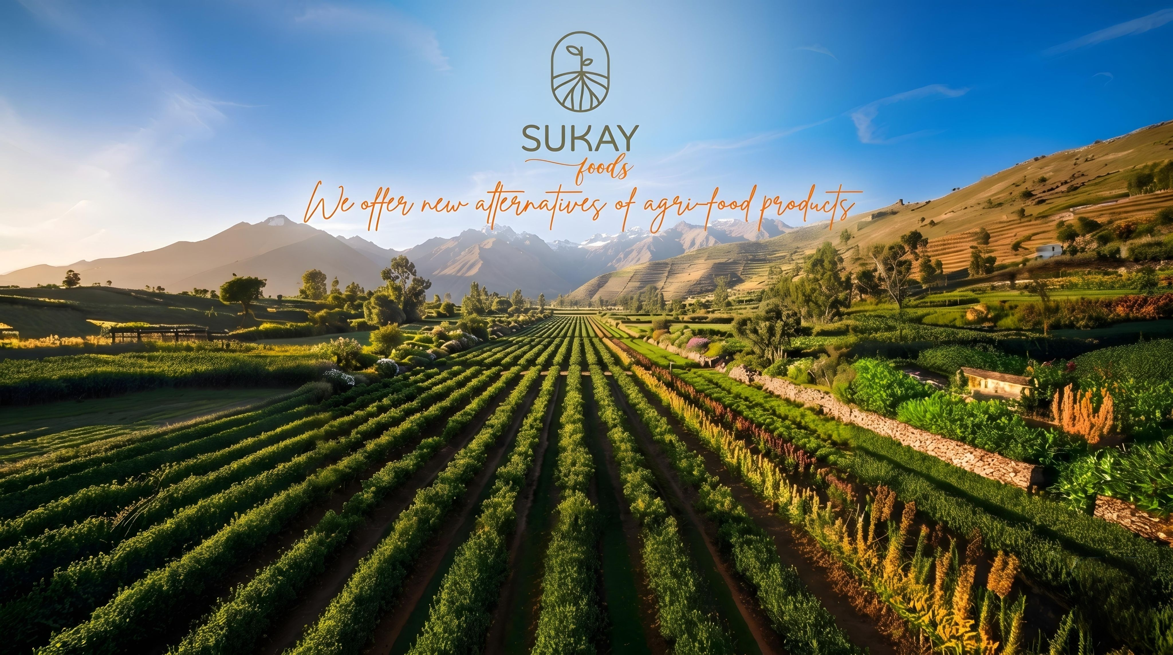 Campos agrícolas — Sukay Foods