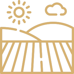 icono campo