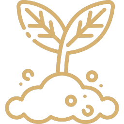 icono de planta recien germinada