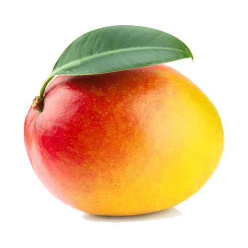 exportación de mango