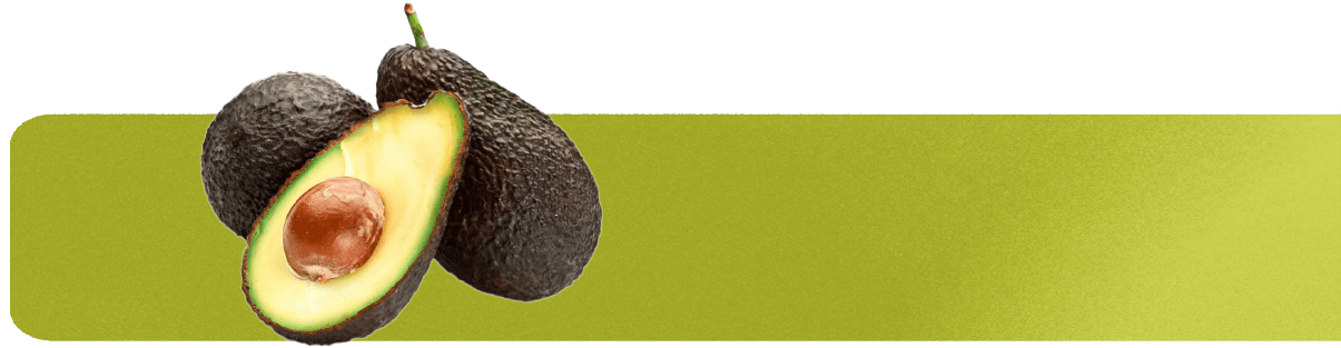 Aguacates sobre franja de color verde